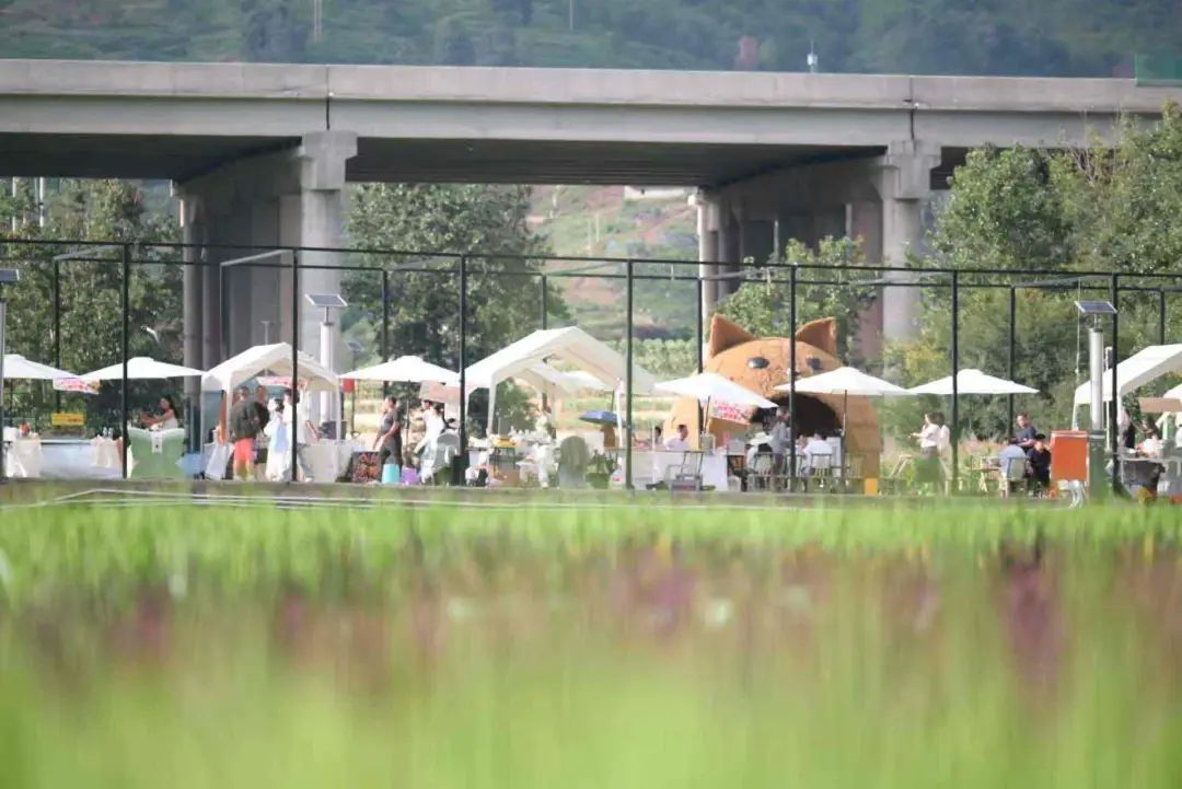 陌上姜州摩登集市:玩转“乡潮”夏日派对插图4 陌上姜州摩登集市:玩转“乡潮”夏日派对插图4