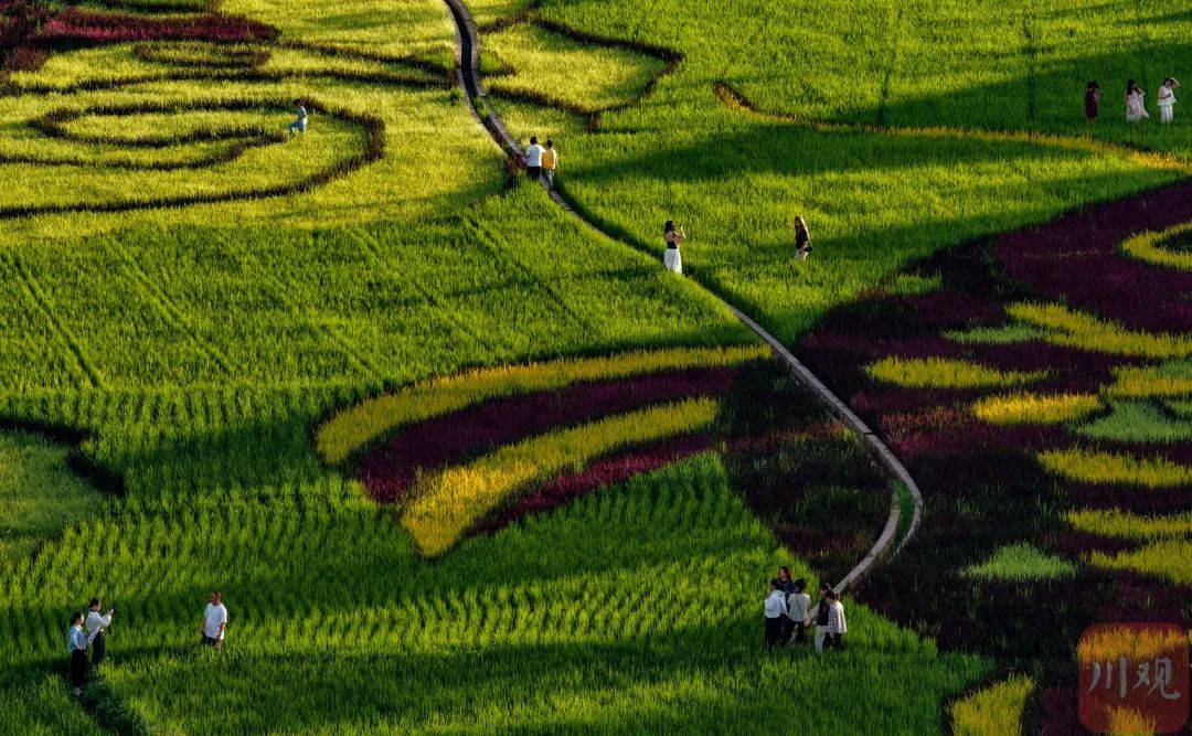 会东姜州镇陌上姜州:驱车2小时,解锁田园撒欢与摩登集市的诗意秘境插图1 会东姜州镇陌上姜州:驱车2小时,解锁田园撒欢与摩登集市的诗意秘境插图1