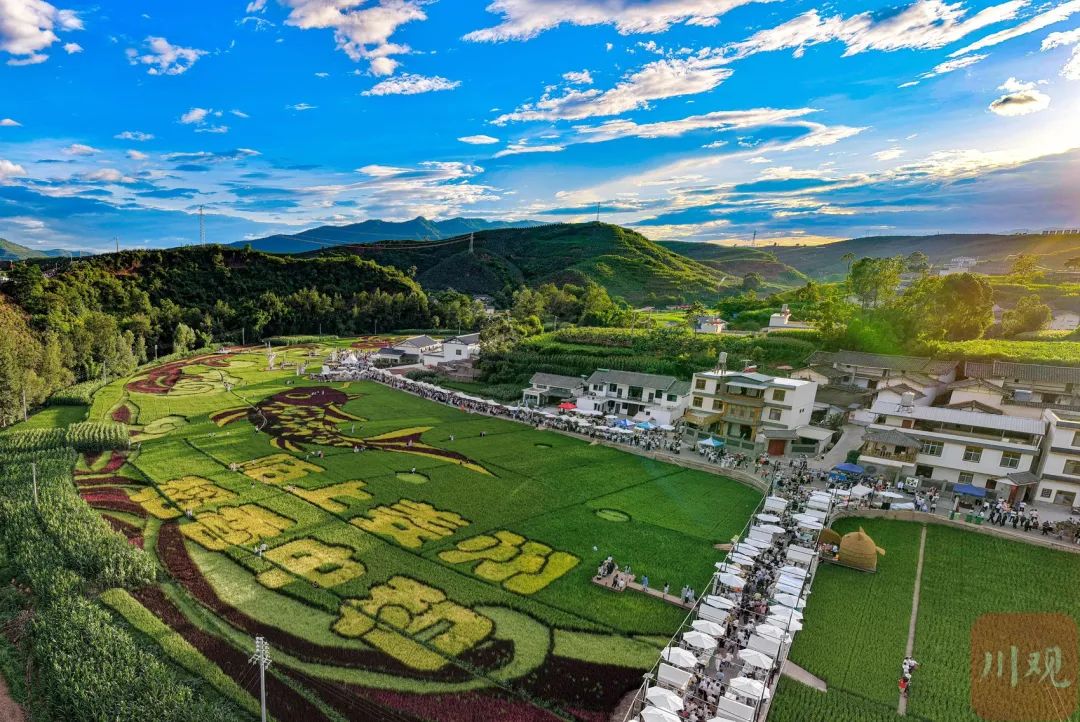 会东姜州镇陌上姜州:驱车2小时,解锁田园撒欢与摩登集市的诗意秘境插图6 会东姜州镇陌上姜州:驱车2小时,解锁田园撒欢与摩登集市的诗意秘境插图6
