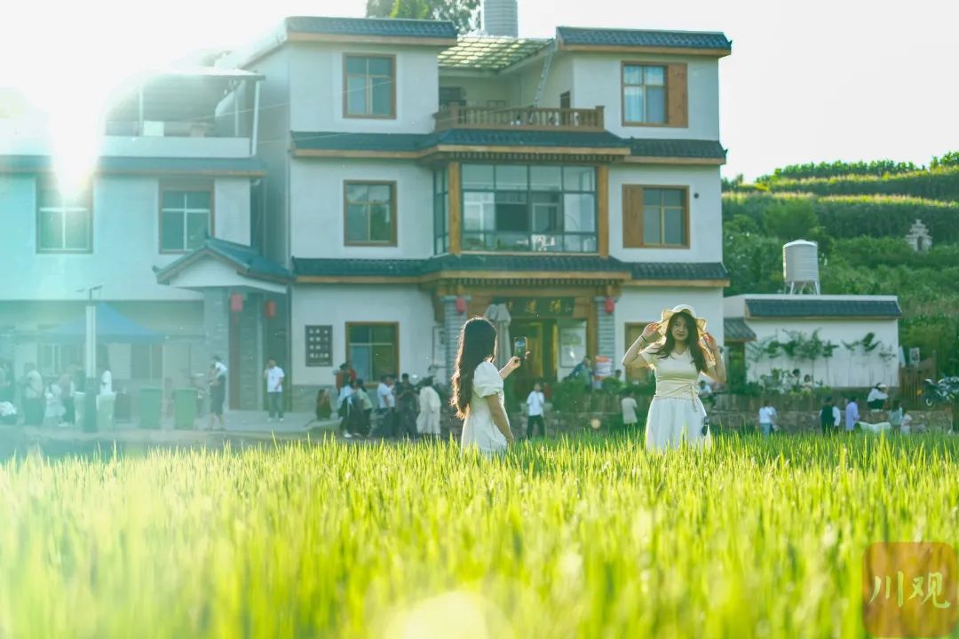 会东姜州镇陌上姜州:驱车2小时,解锁田园撒欢与摩登集市的诗意秘境插图7 会东姜州镇陌上姜州:驱车2小时,解锁田园撒欢与摩登集市的诗意秘境插图7