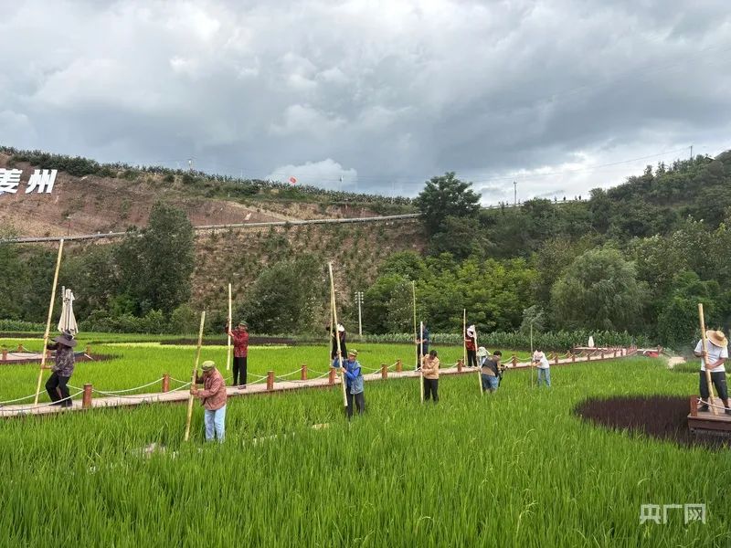 会东火把节“村BA”添彩，农文旅融合燃动乡村经济插图2