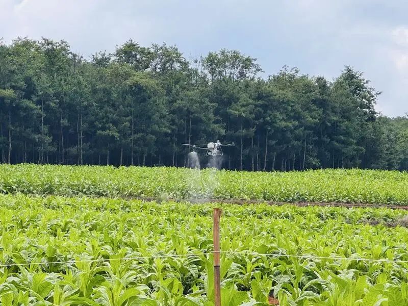 会东县:借低空经济“东风” 绘就智慧农业乡村振兴新画卷插图1 会东县:借低空经济“东风” 绘就智慧农业乡村振兴新画卷插图1