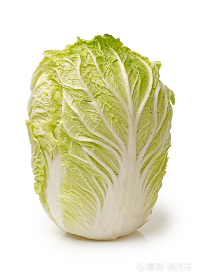 种白菜上什么粪好?5种高效有机肥推荐与使用技巧插图1 种白菜上什么粪好?5种高效有机肥推荐与使用技巧插图1