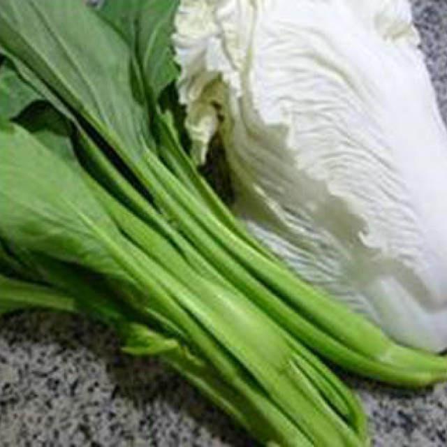 小白菜是哪种蔬菜(小白菜品种及特点全解析)插图5 小白菜是哪种蔬菜(小白菜品种及特点全解析)插图5