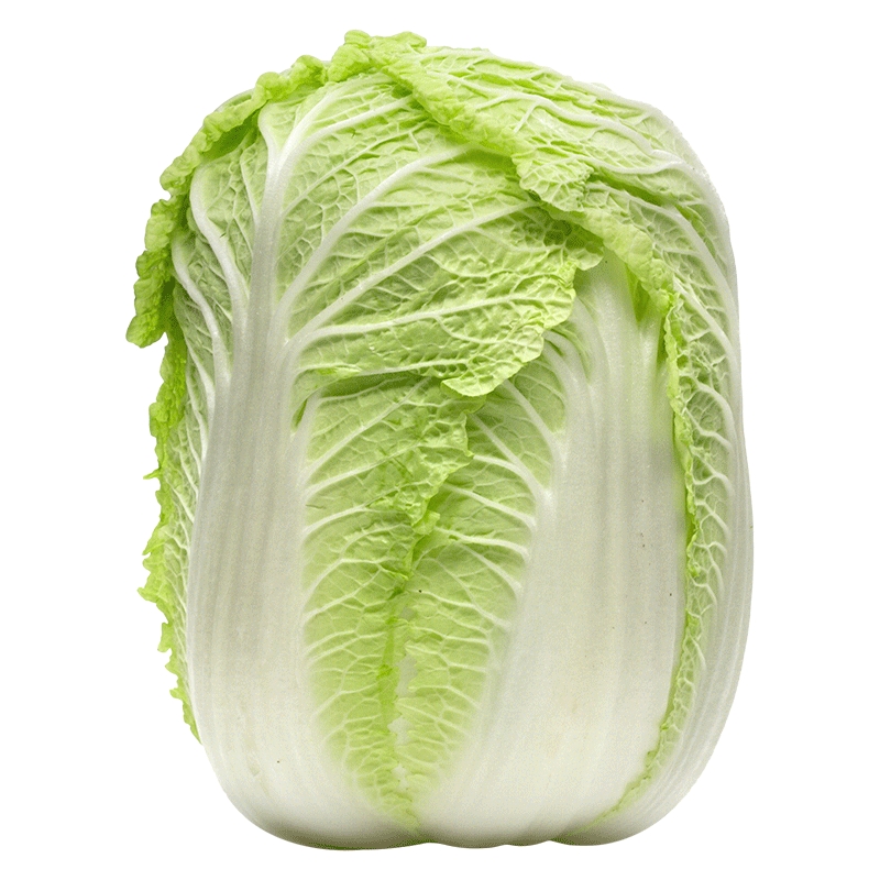 夏天种什么白菜？夏季白菜种植品种推荐插图3