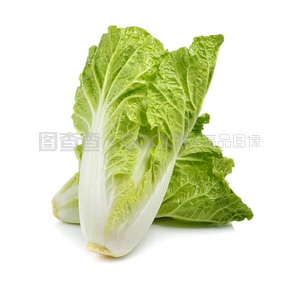 夏天种什么白菜？夏季白菜种植品种推荐插图5