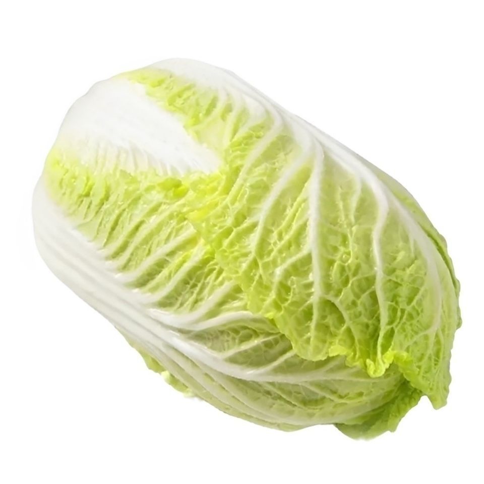 白菜萝卜种植时间和方法全解析：高产栽培技巧大公开插图5