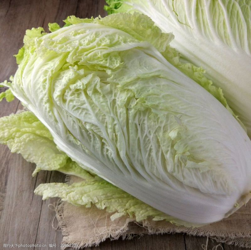 种大白菜怎么能包心？5个关键技巧让白菜紧实饱满插图3