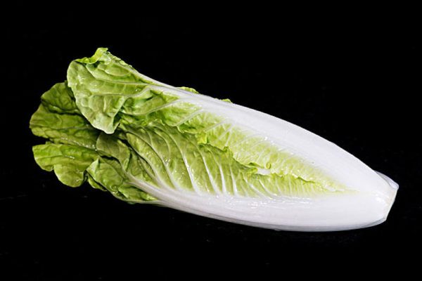 秋白菜如何种植(秋白菜种植技巧全解析)-会东网