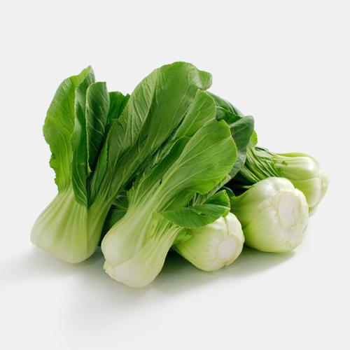 秋白菜如何种植(秋白菜种植技巧全解析)插图3