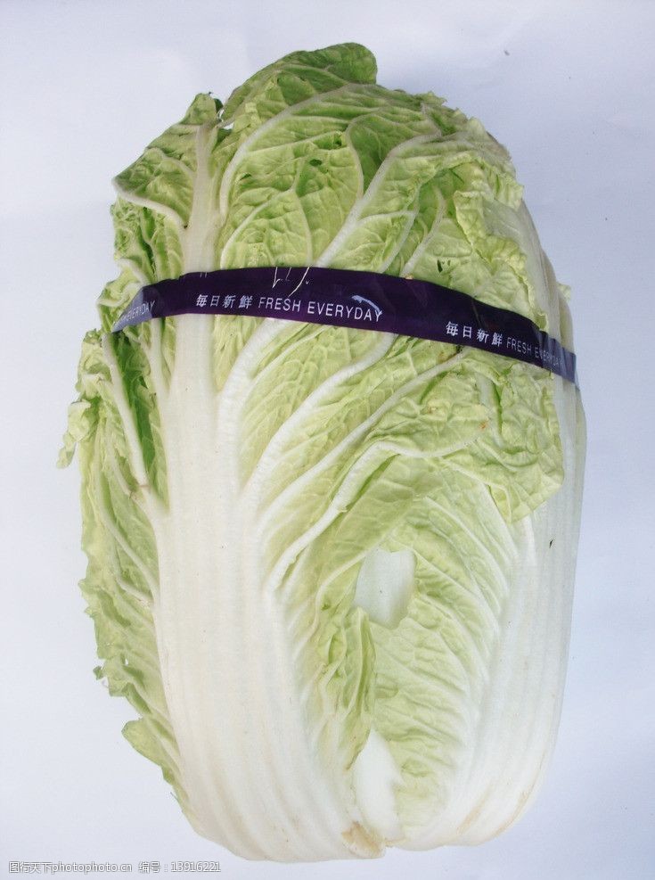 白菜的种植过程详解:从选种到收获的完整指南插图1 白菜的种植过程详解:从选种到收获的完整指南插图1