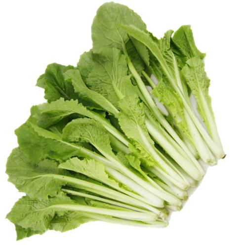 啥时候种秋白菜最合适？最佳种植时间全解析插图5