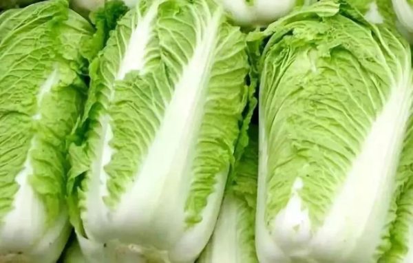 立秋几天种白菜?最佳种植时间与技巧全解析-会东网