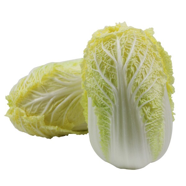 小白菜的种类有哪些?常见小白菜品种全解析插图2 小白菜的种类有哪些?常见小白菜品种全解析插图2