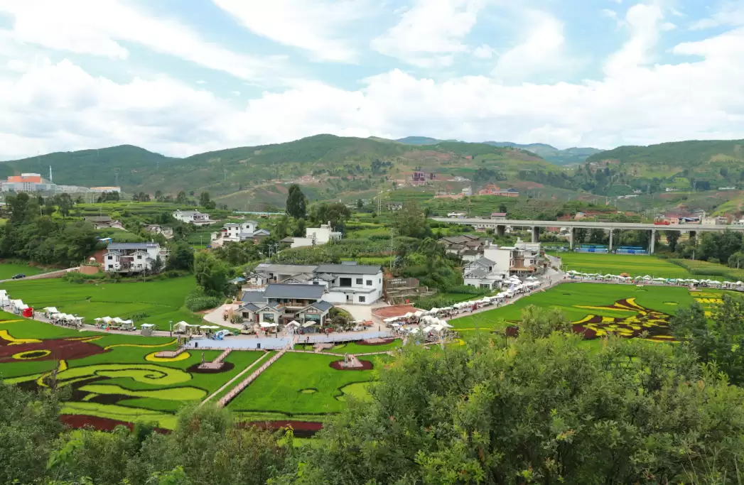 稻田音乐会“潮”涌乡村,会东文旅融合奏响乡村振兴“爆款”强音-会东网