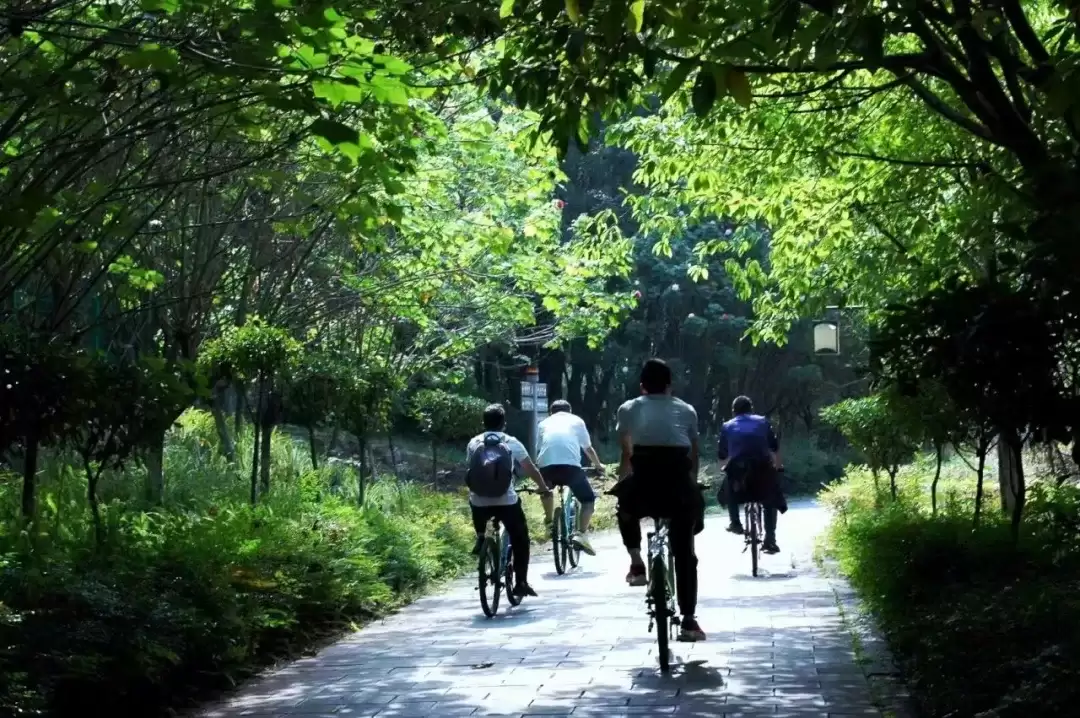 西昌夏日图鉴:在清凉与浪漫中拥抱美好插图2 西昌夏日图鉴:在清凉与浪漫中拥抱美好插图2