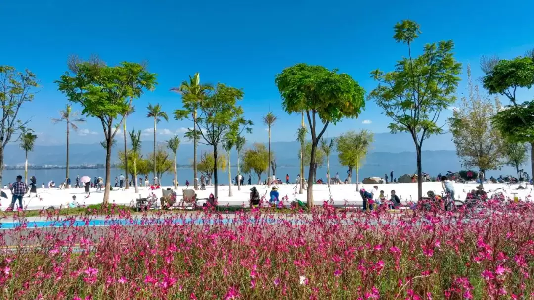 西昌夏日图鉴:在清凉与浪漫中拥抱美好插图3 西昌夏日图鉴:在清凉与浪漫中拥抱美好插图3