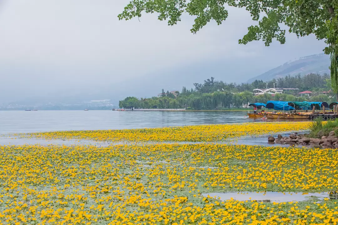 西昌夏日图鉴:在清凉与浪漫中拥抱美好插图4 西昌夏日图鉴:在清凉与浪漫中拥抱美好插图4