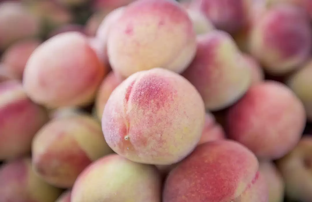 西昌夏日图鉴:在清凉与浪漫中拥抱美好插图9 西昌夏日图鉴:在清凉与浪漫中拥抱美好插图9