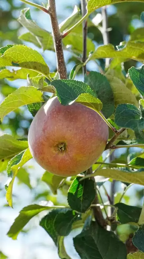 暑假余额不足别慌!来盐源补遗憾,开启历史、文化与自然的多彩之旅插图20 暑假余额不足别慌!来盐源补遗憾,开启历史、文化与自然的多彩之旅插图20