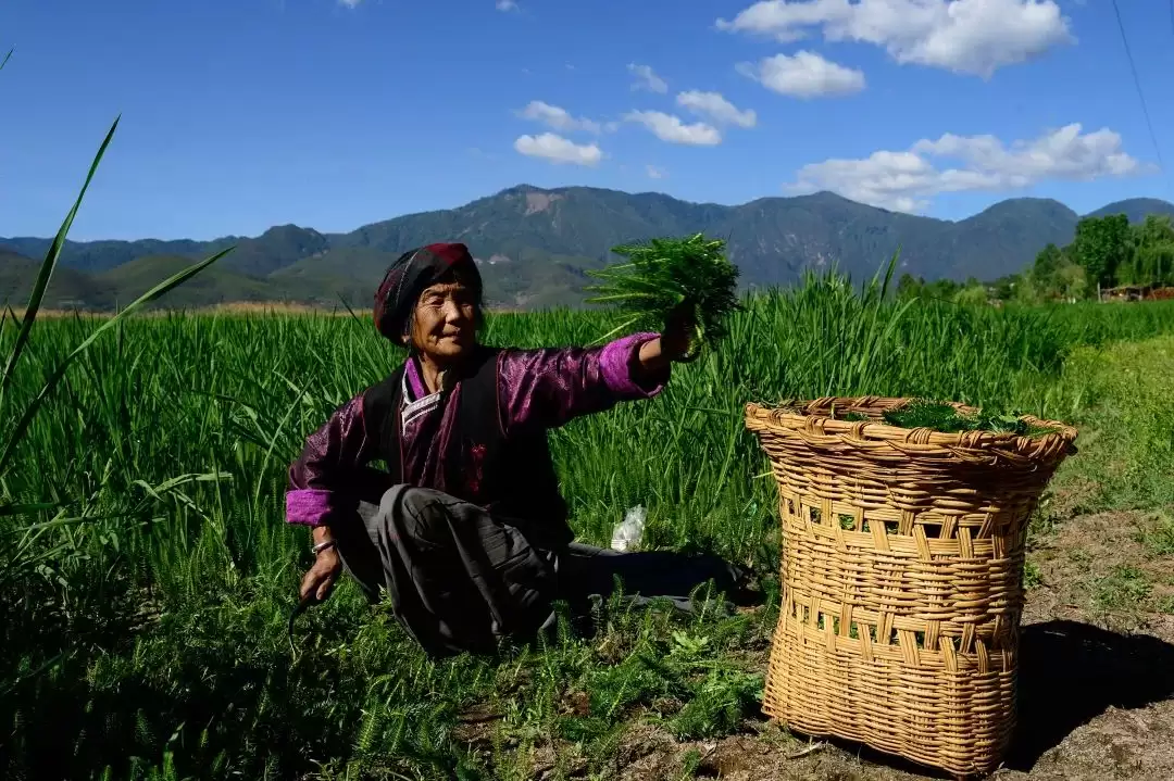 暑假余额不足别慌!来盐源补遗憾,开启历史、文化与自然的多彩之旅插图15 暑假余额不足别慌!来盐源补遗憾,开启历史、文化与自然的多彩之旅插图15