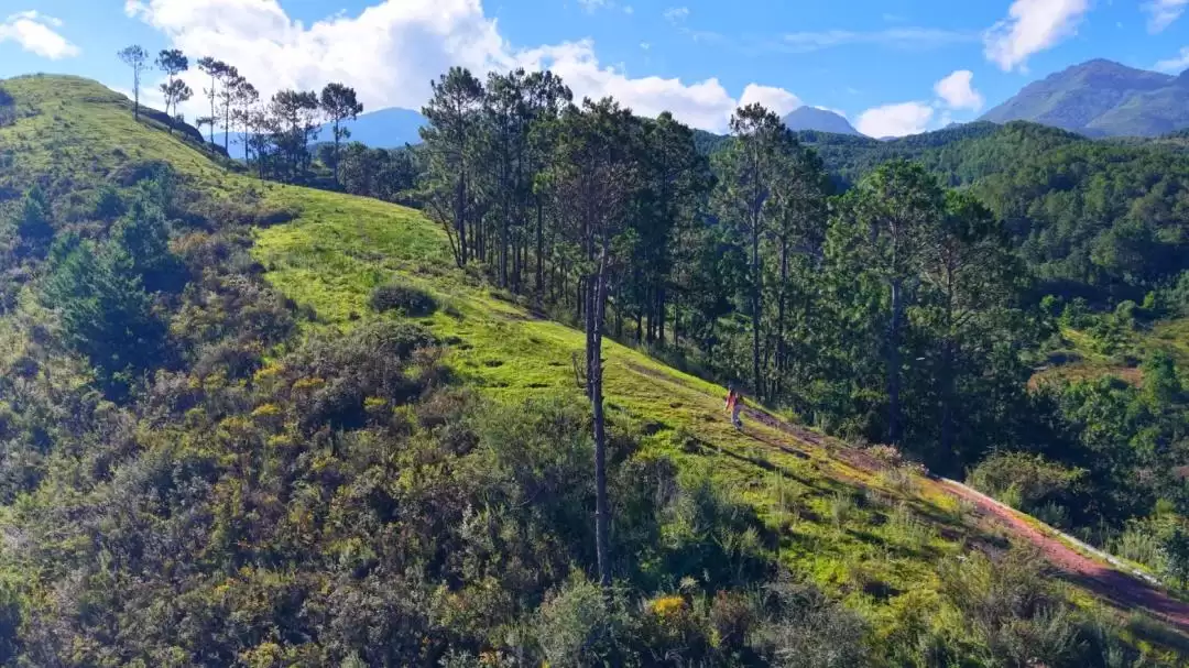 盐源:海拔 2600 米 + 的清凉宝藏地,山林、泸沽湖、果园畅享惬意避暑插图5 盐源:海拔 2600 米 + 的清凉宝藏地,山林、泸沽湖、果园畅享惬意避暑插图5