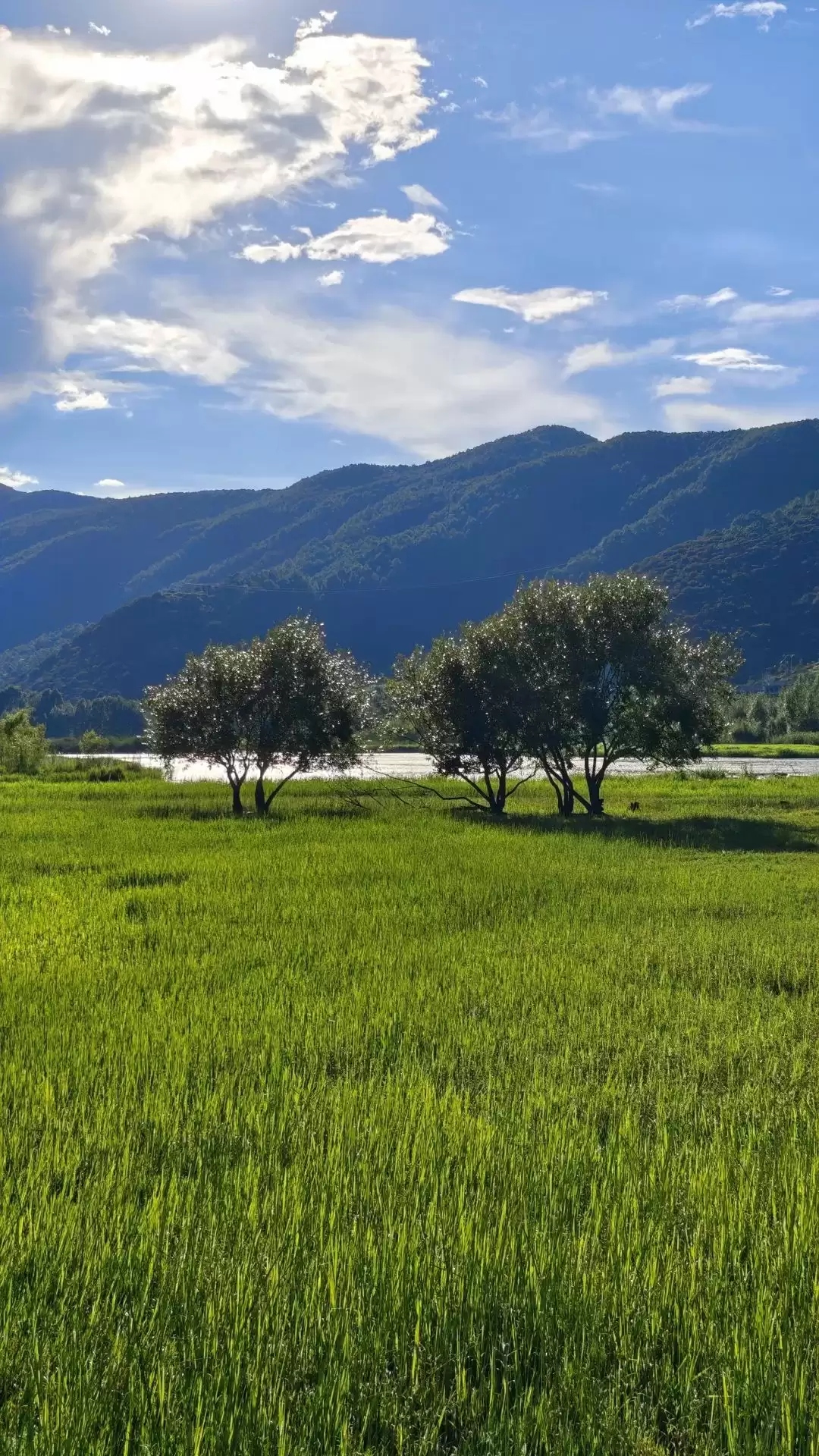 暑假余额不足别慌!来盐源补遗憾,开启历史、文化与自然的多彩之旅插图21 暑假余额不足别慌!来盐源补遗憾,开启历史、文化与自然的多彩之旅插图21
