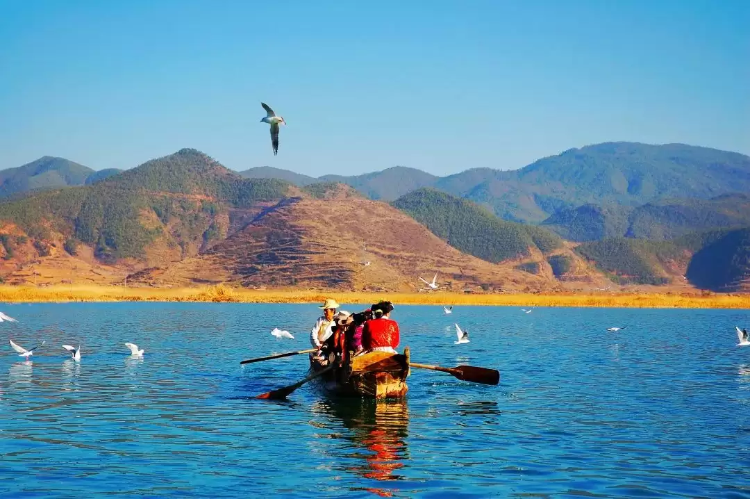 暑假余额不足别慌!来盐源补遗憾,开启历史、文化与自然的多彩之旅插图14 暑假余额不足别慌!来盐源补遗憾,开启历史、文化与自然的多彩之旅插图14