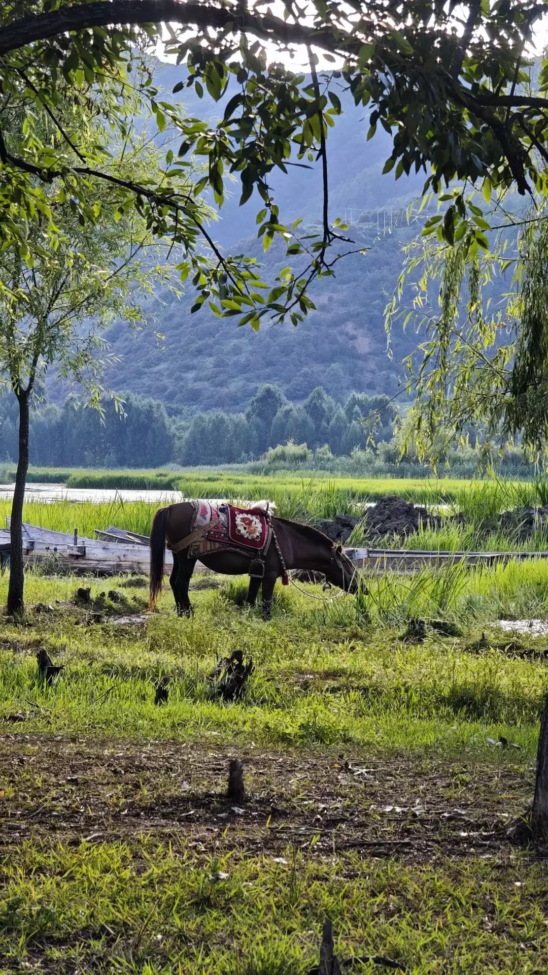 暑假余额不足别慌!来盐源补遗憾,开启历史、文化与自然的多彩之旅插图22 暑假余额不足别慌!来盐源补遗憾,开启历史、文化与自然的多彩之旅插图22