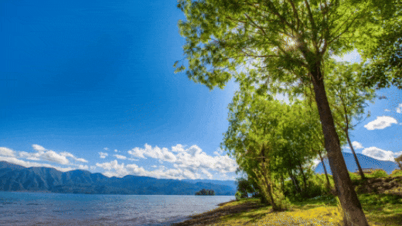 盐源:海拔 2600 米 + 的清凉宝藏地,山林、泸沽湖、果园畅享惬意避暑插图12 盐源:海拔 2600 米 + 的清凉宝藏地,山林、泸沽湖、果园畅享惬意避暑插图12