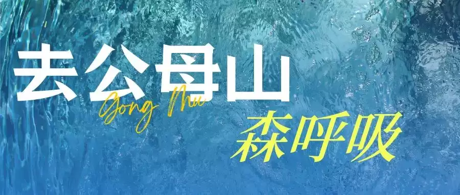 盐源:海拔 2600 米 + 的清凉宝藏地,山林、泸沽湖、果园畅享惬意避暑插图8 盐源:海拔 2600 米 + 的清凉宝藏地,山林、泸沽湖、果园畅享惬意避暑插图8