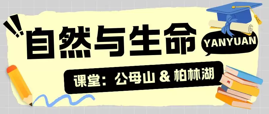 暑假余额不足别慌!来盐源补遗憾,开启历史、文化与自然的多彩之旅插图16 暑假余额不足别慌!来盐源补遗憾,开启历史、文化与自然的多彩之旅插图16
