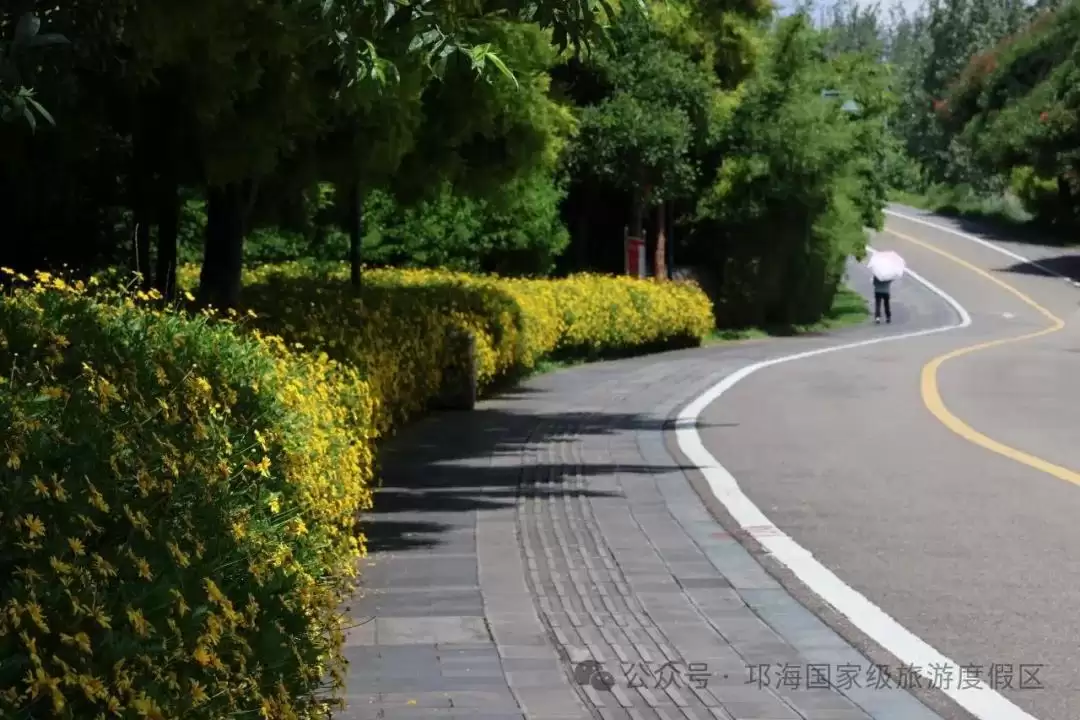 秋爽时节来邛海国家级旅游度假区,邂逅浪漫花海,畅享惬意秋日时光插图4 秋爽时节来邛海国家级旅游度假区,邂逅浪漫花海,畅享惬意秋日时光插图4