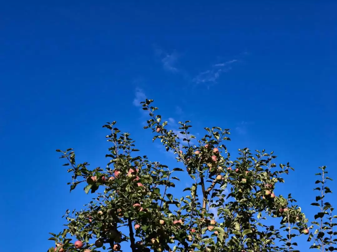 暑假余额不足别慌!来盐源补遗憾,开启历史、文化与自然的多彩之旅插图19 暑假余额不足别慌!来盐源补遗憾,开启历史、文化与自然的多彩之旅插图19