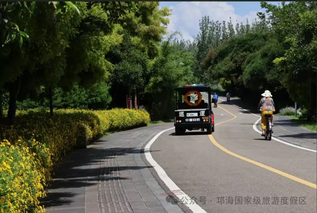 秋爽时节来邛海国家级旅游度假区,邂逅浪漫花海,畅享惬意秋日时光-会东网