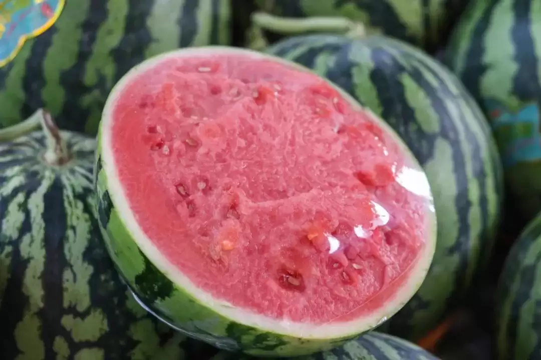 立秋后西昌仍热,本地人狂炫的清凉美食大揭秘:冰糕凉粉冰粉水果等速看插图20 立秋后西昌仍热,本地人狂炫的清凉美食大揭秘:冰糕凉粉冰粉水果等速看插图20