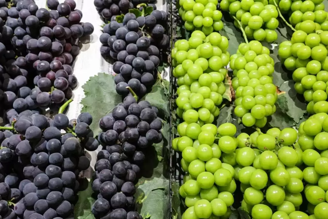 立秋后西昌仍热,本地人狂炫的清凉美食大揭秘:冰糕凉粉冰粉水果等速看插图15 立秋后西昌仍热,本地人狂炫的清凉美食大揭秘:冰糕凉粉冰粉水果等速看插图15