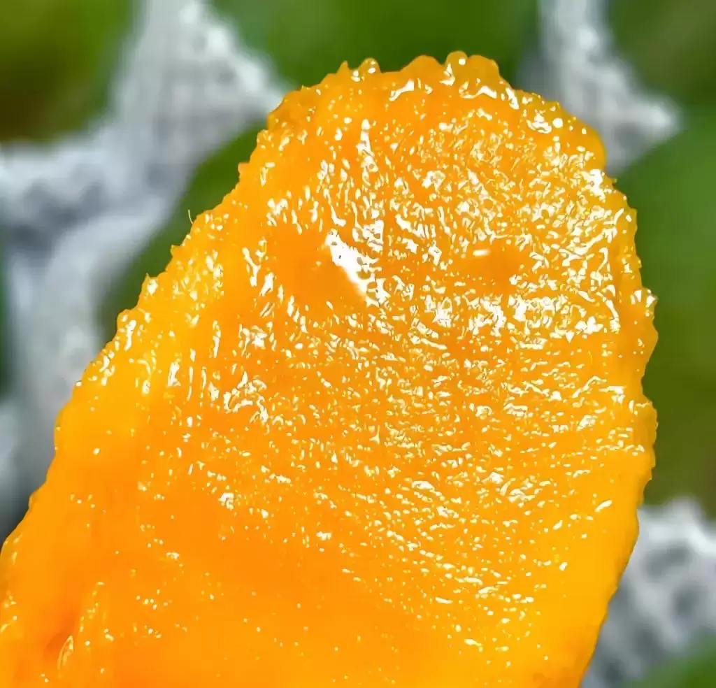 攀枝花凯特芒：比脸还大的晚熟王者，口感营养双优背后的种植智慧大揭秘插图2