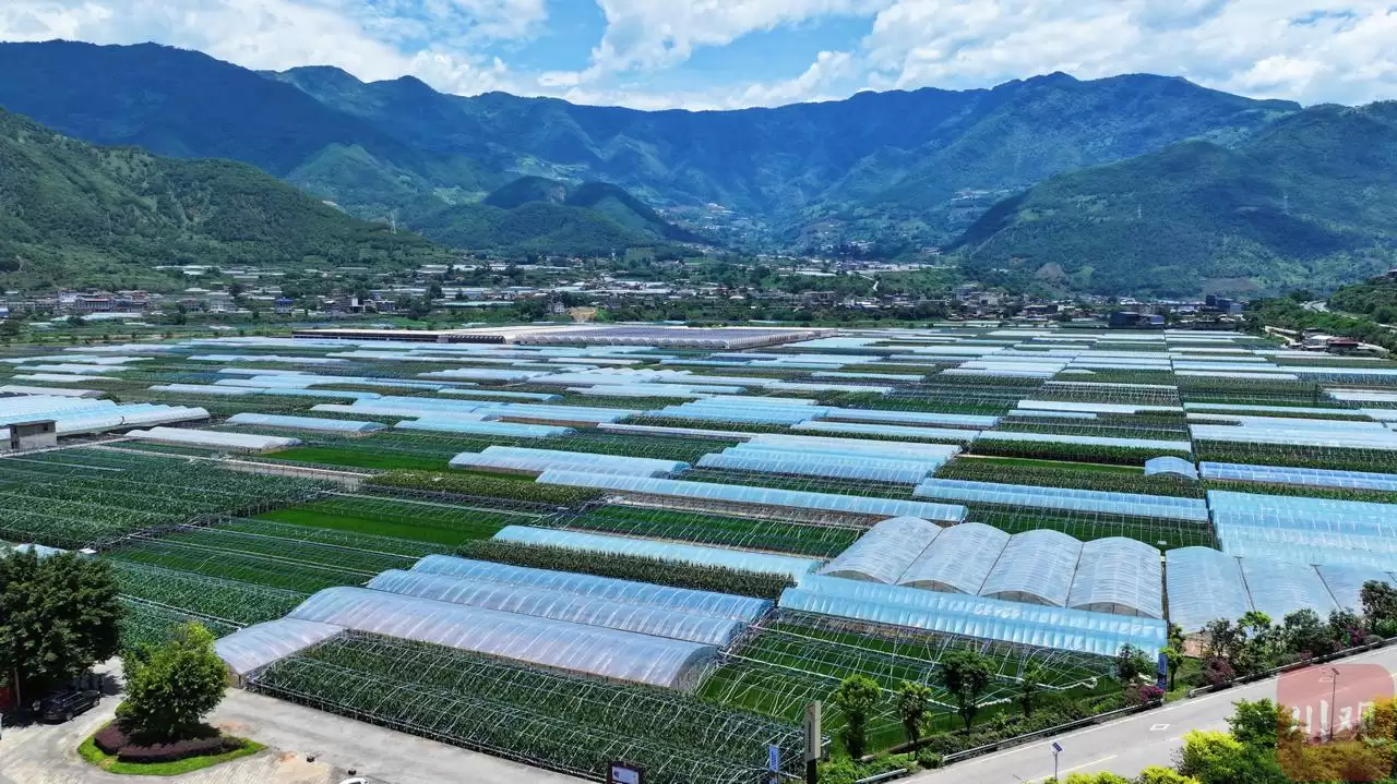 攀枝花水权水价改革:迤沙拉村刷卡浇地,前进渠灌区精准计量均衡用水插图2 攀枝花水权水价改革:迤沙拉村刷卡浇地,前进渠灌区精准计量均衡用水插图2