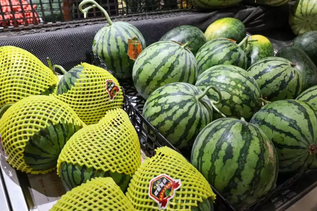 立秋后西昌仍热,本地人狂炫的清凉美食大揭秘:冰糕凉粉冰粉水果等速看插图16 立秋后西昌仍热,本地人狂炫的清凉美食大揭秘:冰糕凉粉冰粉水果等速看插图16