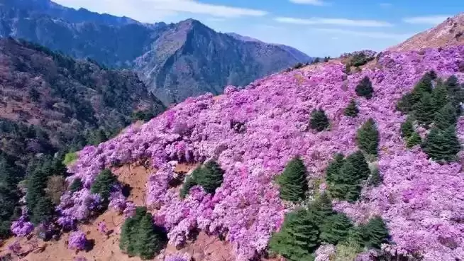 从嘉兴到凉山：亲赴山河，解锁凉山无法用照片与言语尽述的诗意之美插图4