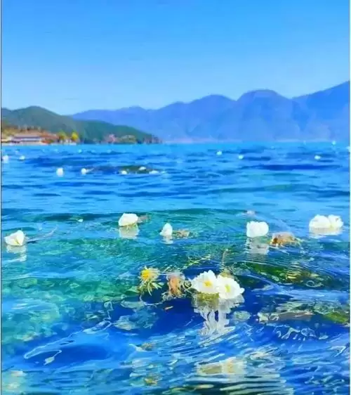 从嘉兴到凉山：亲赴山河，解锁凉山无法用照片与言语尽述的诗意之美插图9