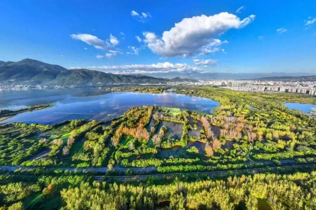 2025 年上半年凉山州财政收入达 117.85 亿,各地表现亮眼增速不一-会东网