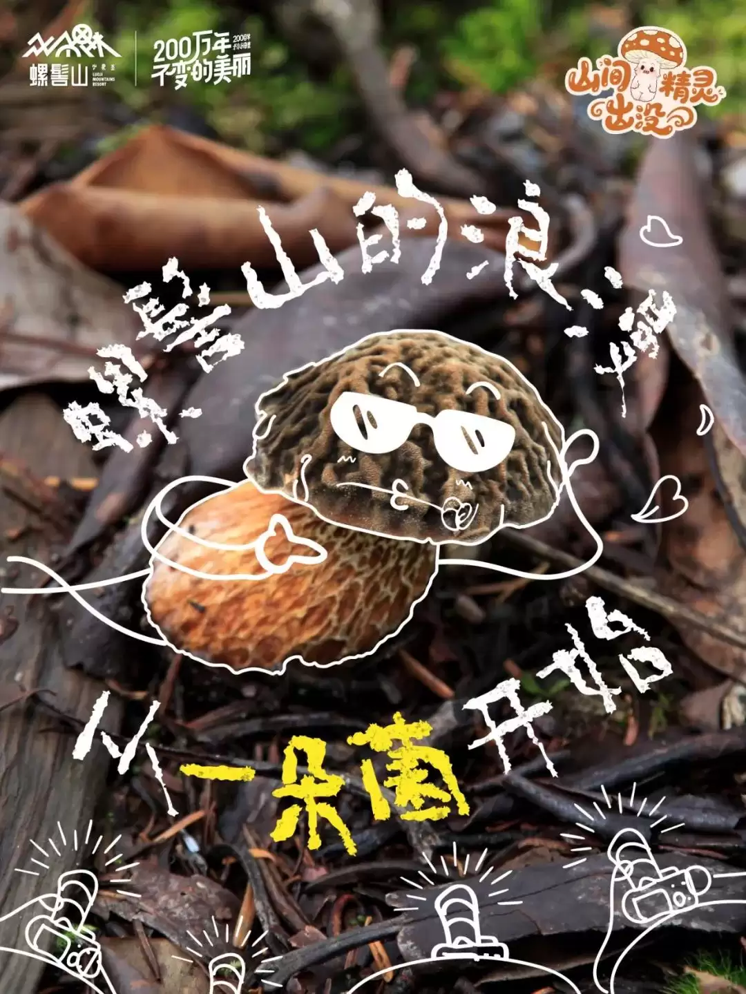 螺髻山游玩攻略 | 八月雨润仙境,“山间精灵” 野生菌出没,快来开盲盒-会东网