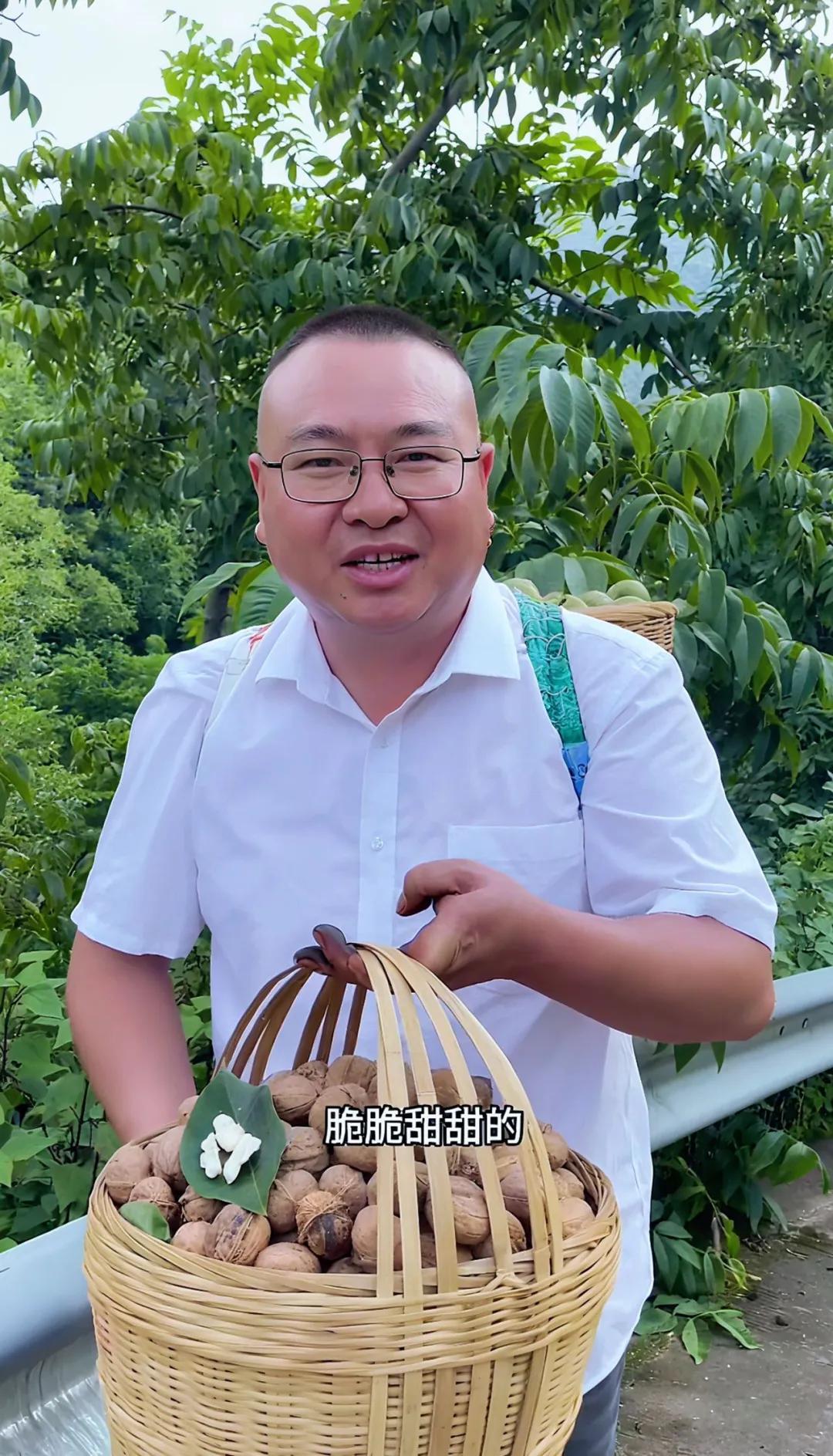 德昌核桃:川西南秘的珍宝,壳薄仁饱,浓香酥脆,速来品尝!插图7 德昌核桃:川西南秘的珍宝,壳薄仁饱,浓香酥脆,速来品尝!插图7