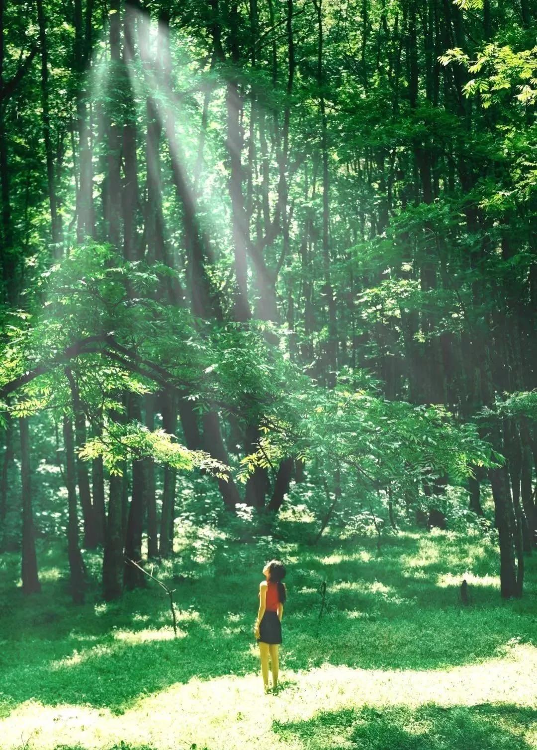 德昌黑龙潭:藏于群山的 “绿野仙踪”,德昌人私藏的生态治愈仙境插图1 德昌黑龙潭:藏于群山的 “绿野仙踪”,德昌人私藏的生态治愈仙境插图1