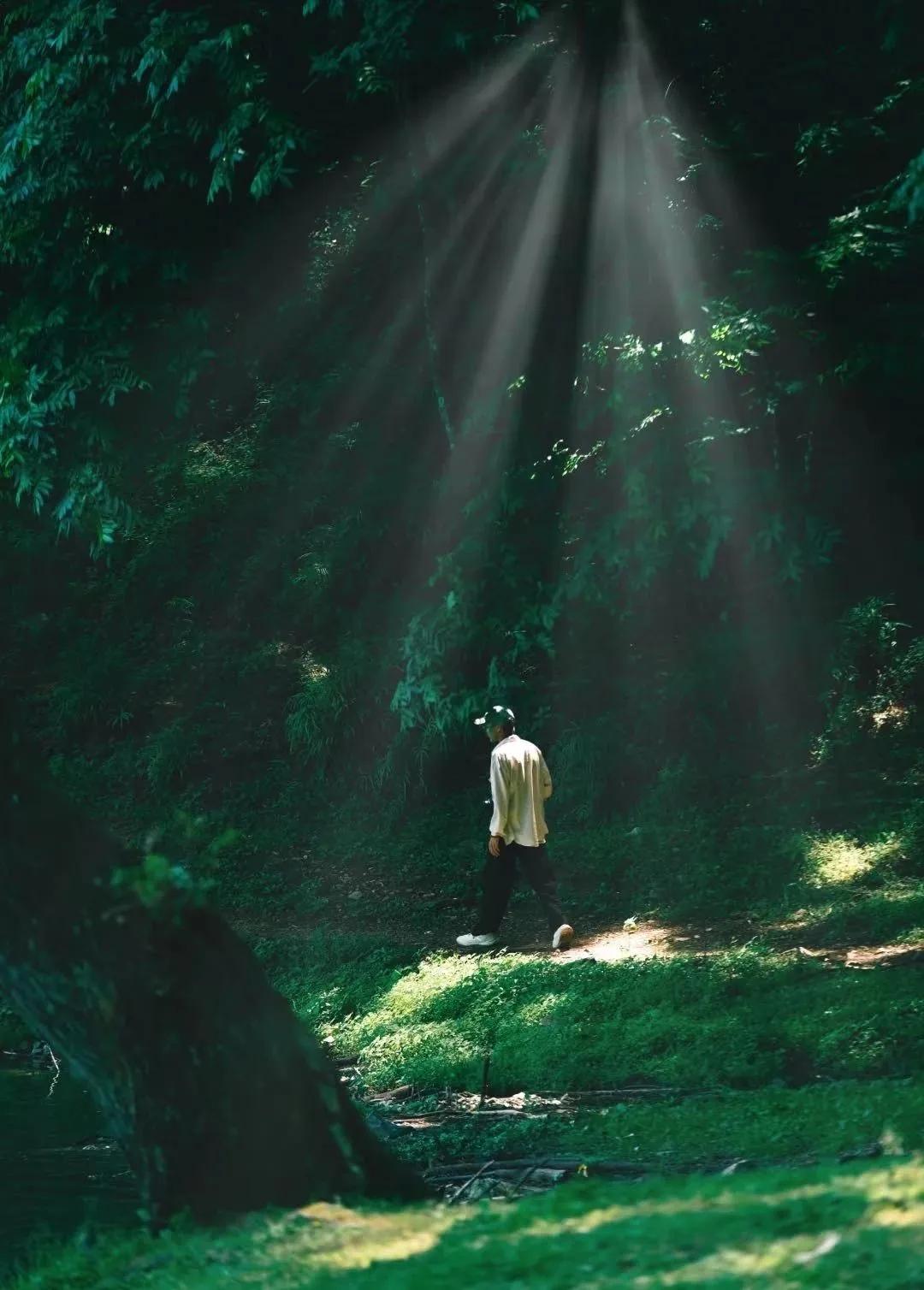 德昌黑龙潭:藏于群山的 “绿野仙踪”,德昌人私藏的生态治愈仙境插图3 德昌黑龙潭:藏于群山的 “绿野仙踪”,德昌人私藏的生态治愈仙境插图3