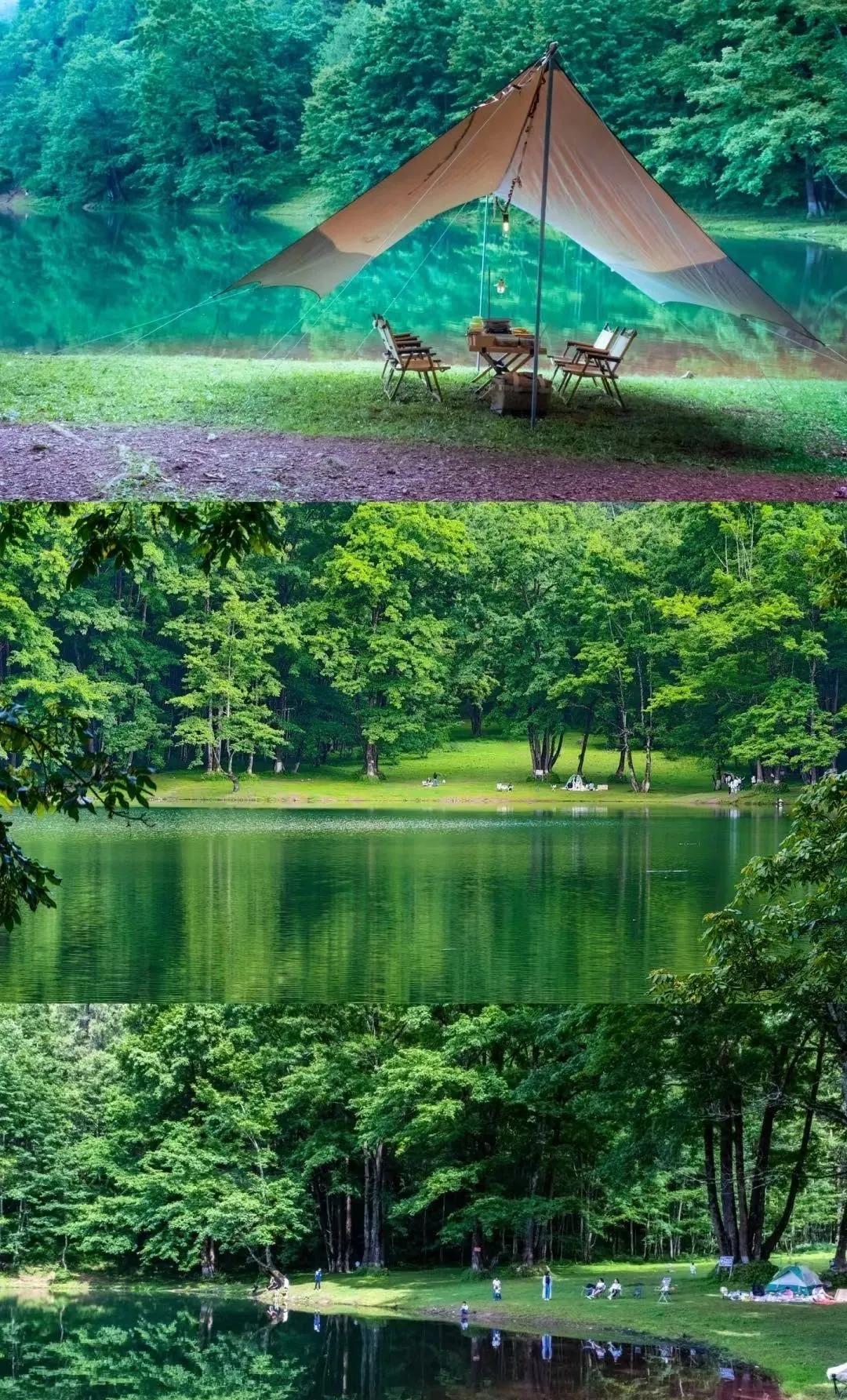 德昌黑龙潭:藏于群山的 “绿野仙踪”,德昌人私藏的生态治愈仙境插图7 德昌黑龙潭:藏于群山的 “绿野仙踪”,德昌人私藏的生态治愈仙境插图7