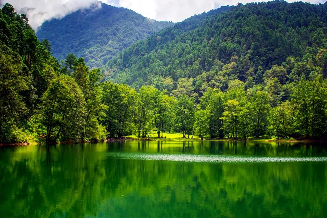 德昌黑龙潭:藏于群山的 “绿野仙踪”,德昌人私藏的生态治愈仙境插图10 德昌黑龙潭:藏于群山的 “绿野仙踪”,德昌人私藏的生态治愈仙境插图10