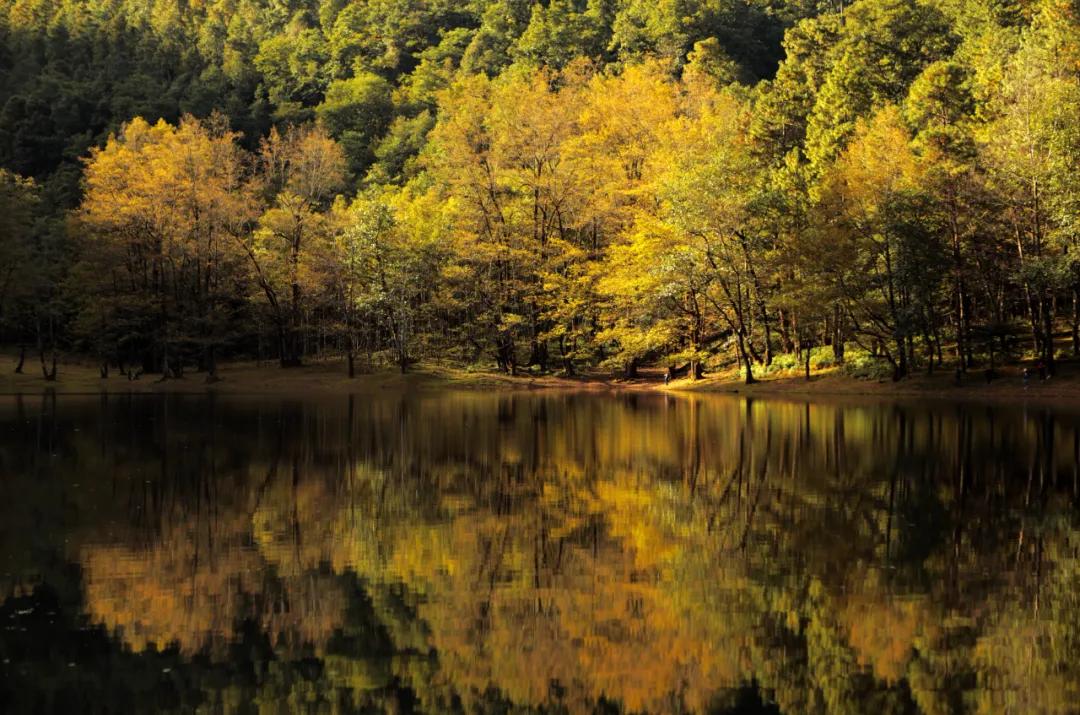 德昌黑龙潭:藏于群山的 “绿野仙踪”,德昌人私藏的生态治愈仙境插图11 德昌黑龙潭:藏于群山的 “绿野仙踪”,德昌人私藏的生态治愈仙境插图11